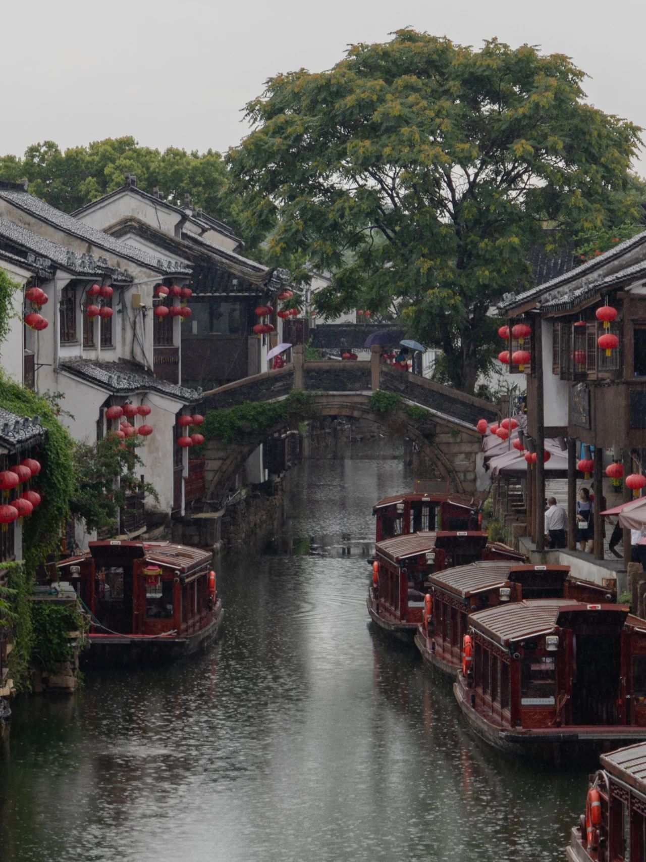 来山塘，听完这三场雨再走！