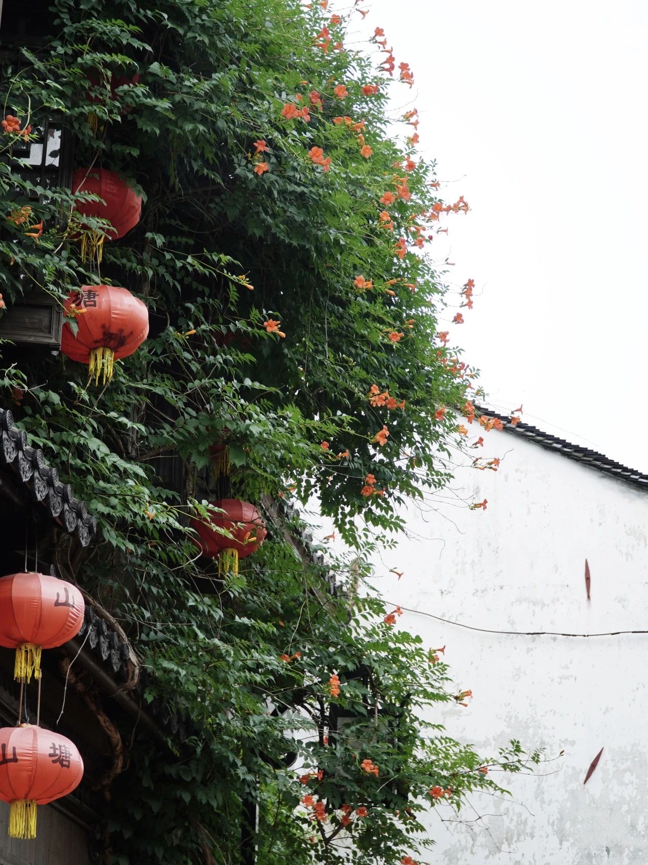 来山塘，听完这三场雨再走！